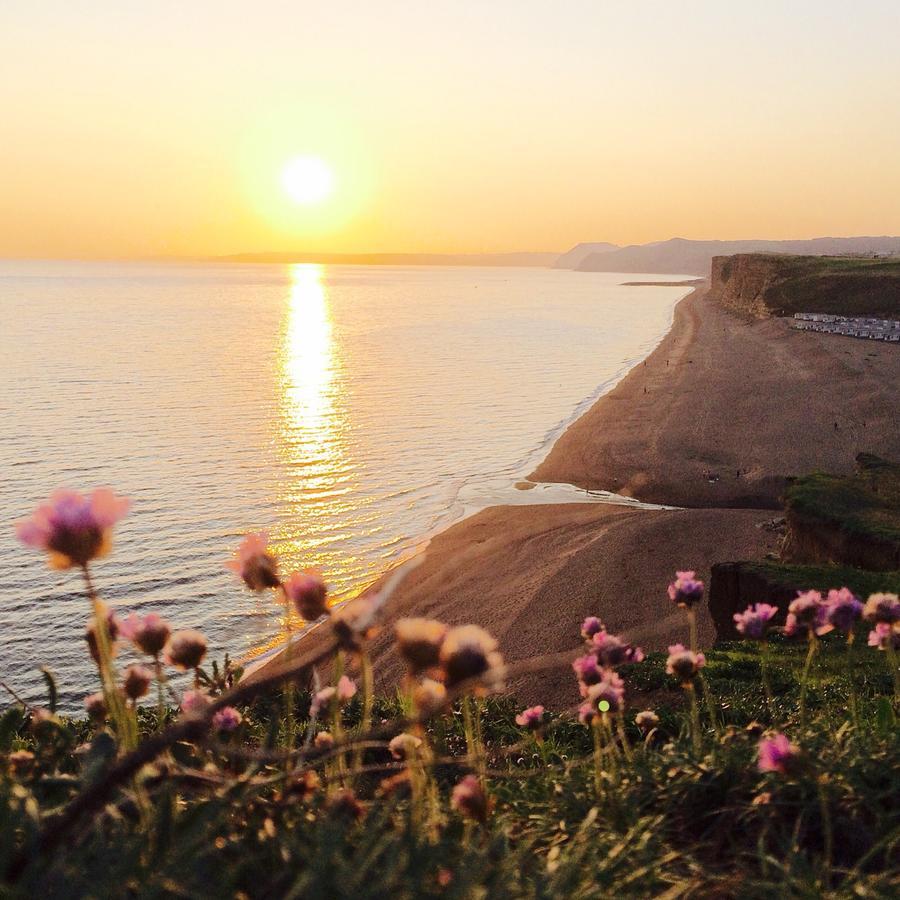 The Seaside Boarding House Ξενοδοχείο Burton Bradstock Εξωτερικό φωτογραφία